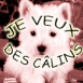 Chiot westie "Je veux des c�lins"