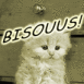 Chaton rouquin "bisouus"