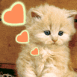 Chaton rouquin avec coeurs