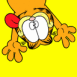 Garfield fait la grimace