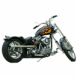 Harley Davidson