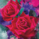 Roses rouges