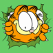 Garfield passant sa t�te � travers l'�cran