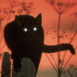 Chat noir au crepuscule