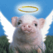 Ange ou cochon?