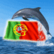 Dauphin portugais!