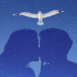 Couple s'embrassant la nuit