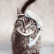Chat avec masque et tuba