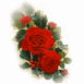 Bouquet de roses