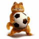 Garfield est le roi du foot