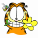 Garfield a une fleur entre les dents