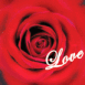Rose rouge en gros plan "Love"