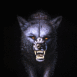 Loup mena�ant de face