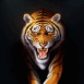 Tigre mena�ant de face