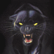 Panth�re effrayante de face