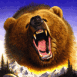 Grizzly grondant dans la montagne