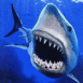 Requin passant � l'attaque