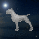 Rottweiler en diamants dans la nuit