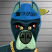 Pitbull gangster