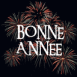 Feux d'artifice "Bonne ann�e"