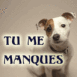 Petit chien levant la t�te "Tu me manques"