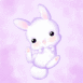 Petit lapin blanc sur le dos
