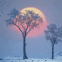 Coucher de soleil d'hiver