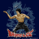 Bruce Lee venant de porter un coup