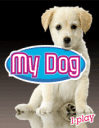 My Dog