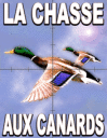 La chasse aux canards