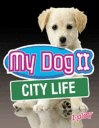 My dog 2