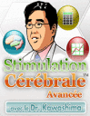 Stimulation Cérébrale avancée