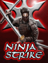 Ninja strike 3D+