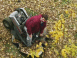 MTV Jackass: Piège dans le jardin