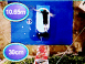 Guinness des records: Le grand splash