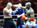 Muay Thai: Poings de fer