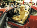 Tuning: voitures et jolies filles