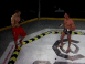 Freefight en cage, round 2