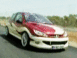 Peugeot 206 tun�e