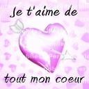 Logo Coeur transpercé "Je t'aime de tout mon coeur": Télécharger Coeur